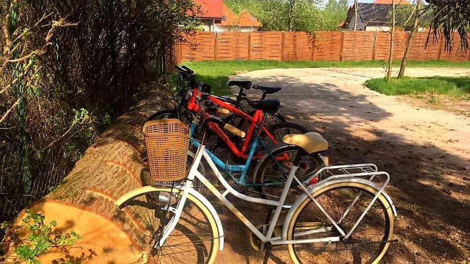 Miodowy Zakatek Caloroczne Domki I Pokoje Przy Suntago, Deepspot, Pyszne Sniadania, Grill, Ognisko Mszczonow Exterior photo